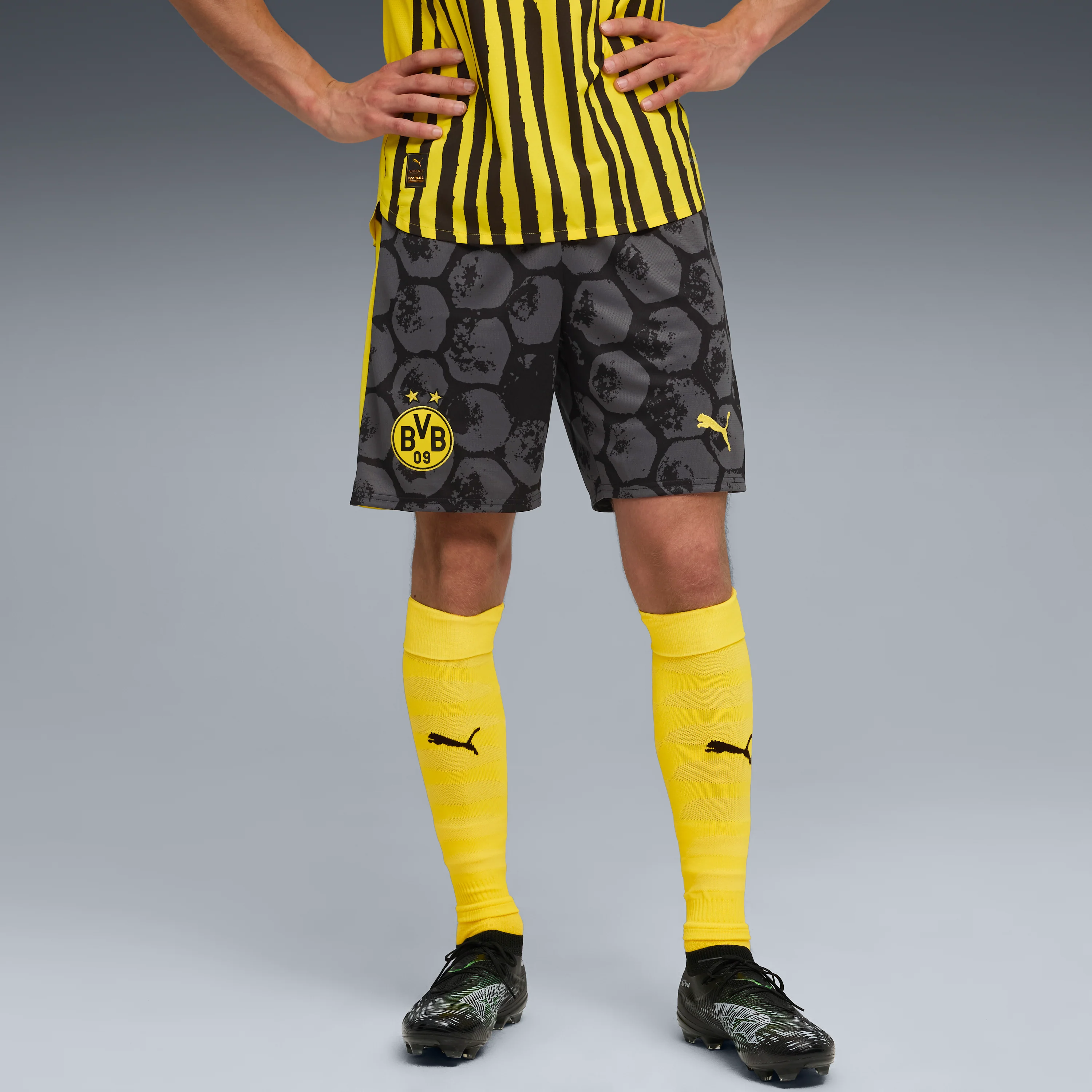 BVB Dortmund SHORTS REPLICA [PUMA Black/Faster Yellow] - Image 5